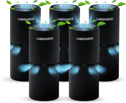 LabCharge Small Ionic Air Purifier by LabCharge