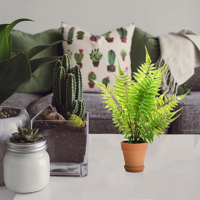 5pcs Red Terracotta Succulent Flower Pots - Image 9