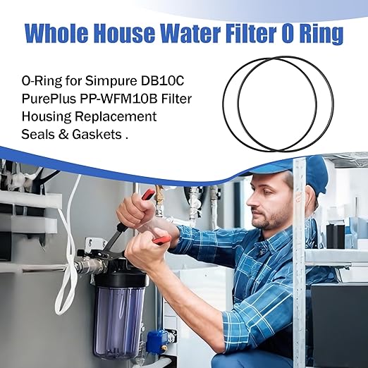 Whole House Water Filter O Ring 10"X4.5" - Image 2