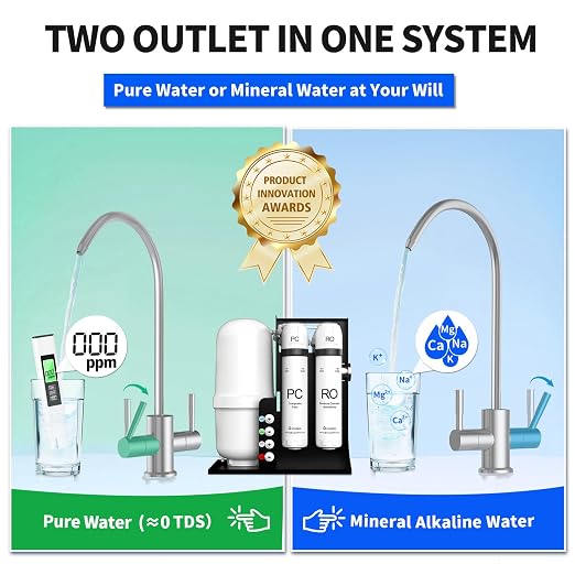 WINGSOL Integrated Reverse Osmosis Water Filter, NSF/ANSI 42/53/58, Dual Outlet - Image 3