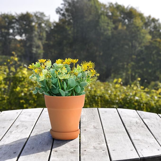 5pcs Red Terracotta Succulent Flower Pots - Image 5