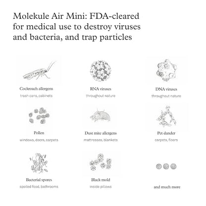 Molekule Air Mini & Air Mini+ PECO Filter - Image 5
