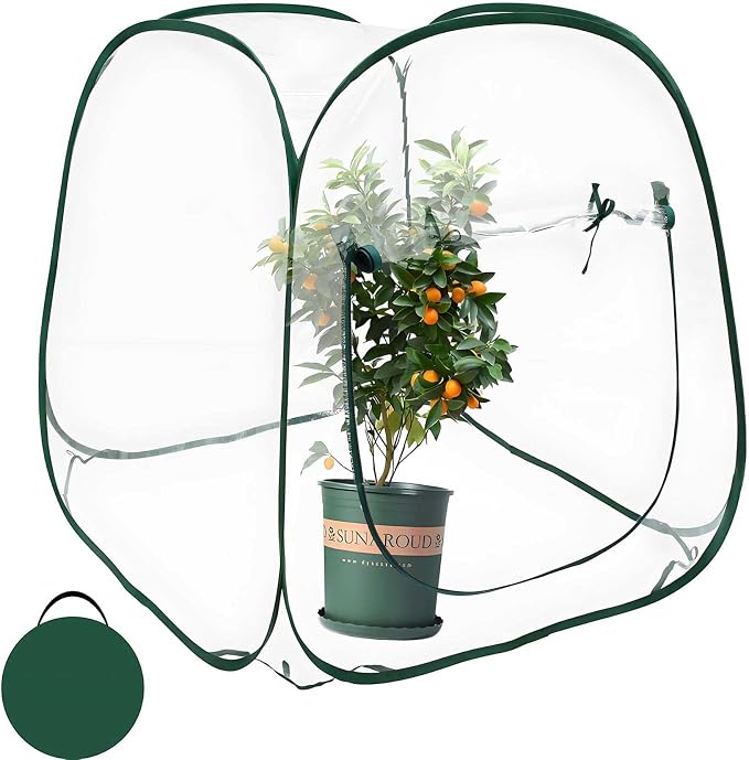 Plant Mini Greenhouse Pop Up Greenhouse Covers, Transparent Freeze Protection by Hkvoxim