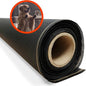 Pet & Weather Resistant Insect Screen by MetroScreenworks