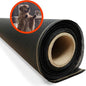 Pet & Weather Resistant Insect Screen by MetroScreenworks