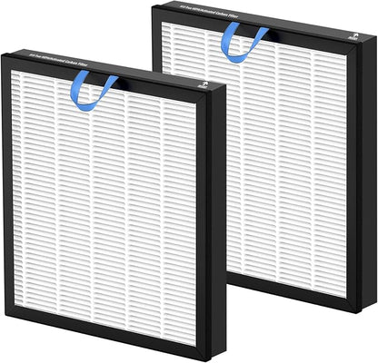 2 Pack Vital 100S Replacement Filter Compatible by JORAIR