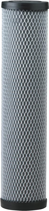 Pentair Pentek C1-20BB Big Blue Carbon Water Filter, Whole House Heavy Duty by PENTAIRPENTEK