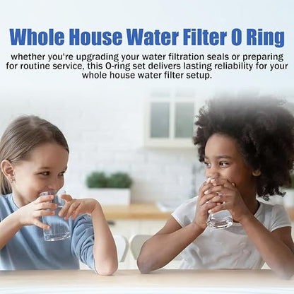 Whole House Water Filter O Ring 10"X4.5" - Image 7