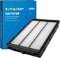 PHILTOP Engine Air Filter CA12065 Replacement by PHILTOP