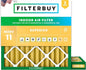 Filterbuy 25x25x2 Air Filter MERV 11 Superior Pet & Allergy Defense, by Filterbuy