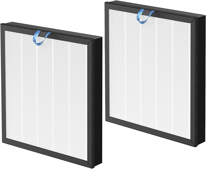 2 Pack Vital 100S-P Replacement Filter Compatible by Cabiclean