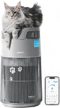 WiseSky Pet Air Purifier for Cat Owners, High-Efficiency Air Purifier for Cat by WISESKY