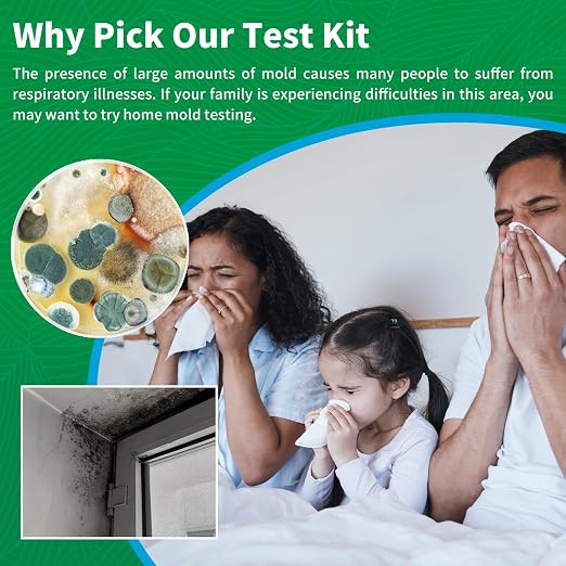 Mold Test Kit for Home -12 Simple Mold Test kit, Test HVAC System, Surfaces & - Image 2