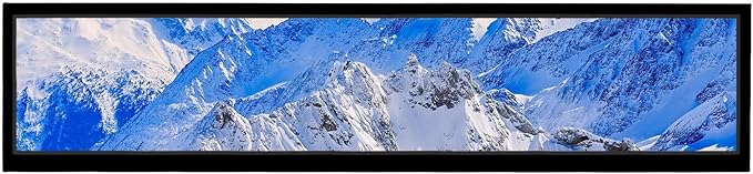 VSDISPLAY 24 Inch Ultra Digital Signage 1920x360 Resolution IPS Display,Auto-Copy Autoplay from USB, Screen Rotation & Split Screen for Supermarket,Retail Store,Restaurant,Mall