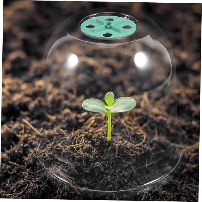 2pcs Small Garden Cloche Clear Plastic Humidity Domes - Image 6