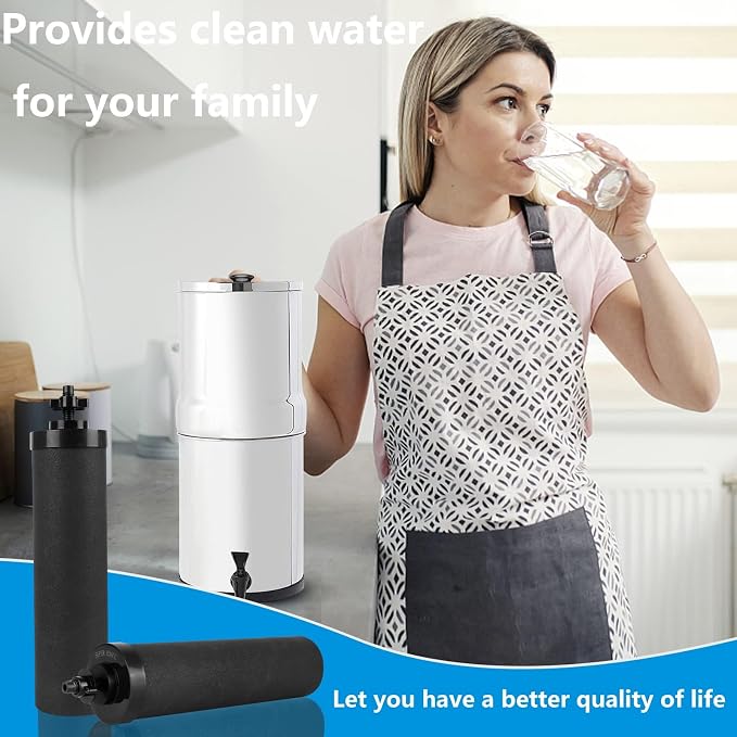 Water Filter Silver Infused Replacement - Image 6