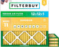 Filterbuy 12x12x1 Air Filter MERV 11 Superior Pet & Allergy Defense, by Filterbuy