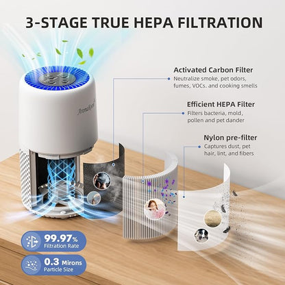 Air Purifier for Home Bedroom, AromaRoom H13 HEPA Air Filter For Smoke Pollen - Image 4