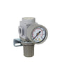 PneumaticPlus SAR200-N02BG Miniature Compressed Air Pressure Regulator 1/4" NPT by PneumaticPlus