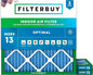 Filterbuy 15x15x1 Air Filter MERV 13 Optimal Smoke & Allergy Defense, by Filterbuy