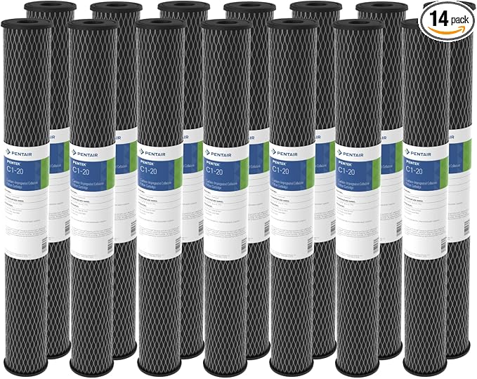 Pentair Pentek C1-20 Carbon Water Filter, Whole House Dual Purpose Powdered by PENTAIRPENTEK