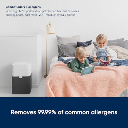 BLUEAIR Air Purifier Large Room, Air Cleaner - Image 5