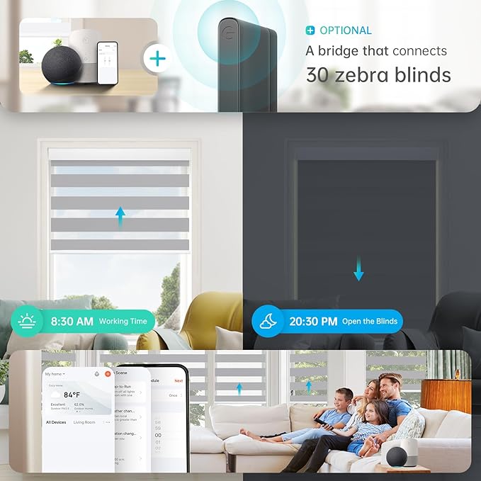 DENFOON Motorized Zebra Blinds, Solar Powered Dual Layer Automatic Shades with Remote Control, Rechargeable Smart Blinds Horizontal Wireless Electric Shades for Windows, Custom Size, Gray， 20 x 72