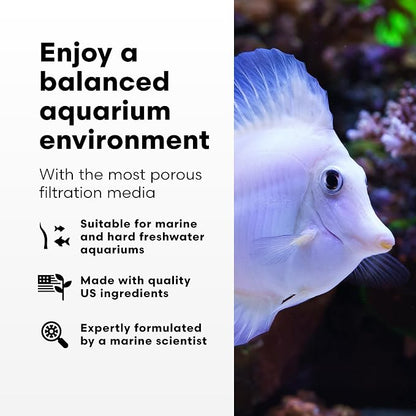 Brightwell Aquatics - Image 3