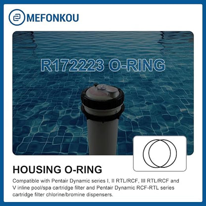 R172223 Housing O-Ring for Pentair Pool Spa Filter & Leaf Trap Parts R172240 - Image 3