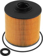 8982402800 Fuel Filter Kit Fit for MULTIQUIP DIS185SSI4F Selwood S 160 ECO 150 by QLZOZB