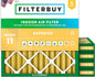Filterbuy 25x25x2 Air Filter MERV 11 Superior Pet & Allergy Defense, by Filterbuy