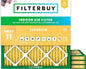 Filterbuy 17x17x1 Air Filter MERV 11 Superior Pet & Allergy Defense, by Filterbuy