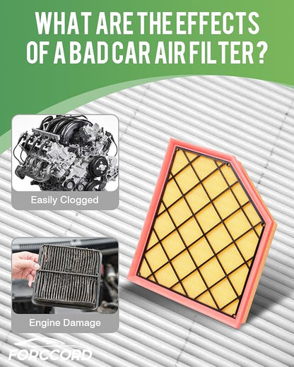 Cabin Air Filter and Engine Air Filter Fit - Image 4