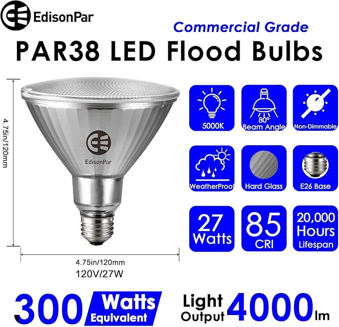 EdisonPar Full-Glass PAR38 LED Flood Light Bulbs Outdoor/Indoor Equivalent 300 Watt, 4000 Lumens Ultra Bright, Non-Dimmable Waterproof 5000K Daylight, 4-Pack