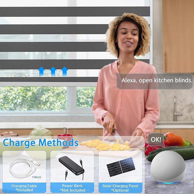 COOLWINDS Motorized Zebra Blinds for Windows Cordless Electric Curtains with Remote Control Blackout Shades Custom Smart Blinds Compatible with Alexa Google Home(Light Filtering Black,W34 X 72in)