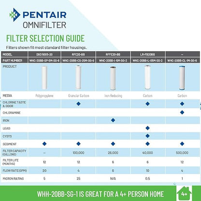 Pentair OMNIFilter Whole Home 20" Heavy-Duty Big Blue Water Filtration System - Image 5