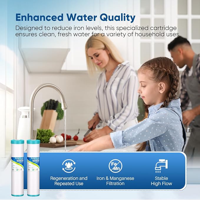 PUREPLUS 5 Micron 20" x 4.5" RFN20BB Whole House Iron & Manganese Reduce Water - Image 4