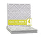 Lamons 20"x20"x1" Xtreme Plus Air Guard Pleated Filter, MERV 8 by Unknown