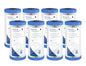 Pentair Pentek R50-BB Big Blue Sediment Water Filter, Whole House Pleated by PENTAIRPENTEK