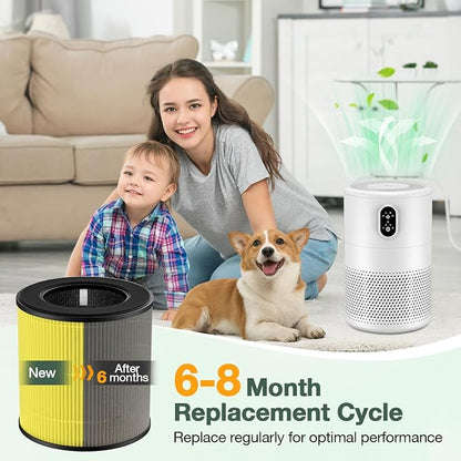 M05 B-D02L Pet Care Replacement Filter Compatible - Image 6