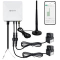 WiFi Energy Monitor with 2 * 120A Clamps, Real-Time Electricity Tracking, Smart Home Power Management,WiFi Meter Solar/Net Metering, Home Energy Automation and Control