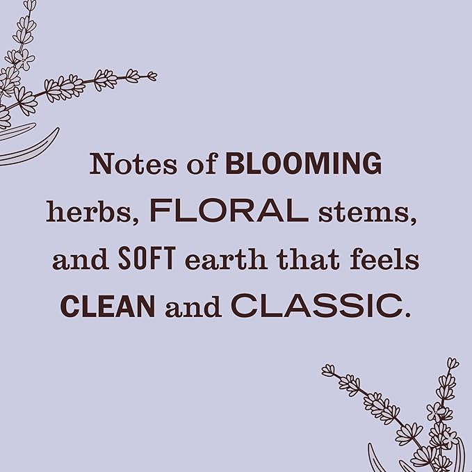 MRS. MEYER'S Clean Day Scented Oil Refills, Lavender, Contains 2 .67 fl oz Refills
