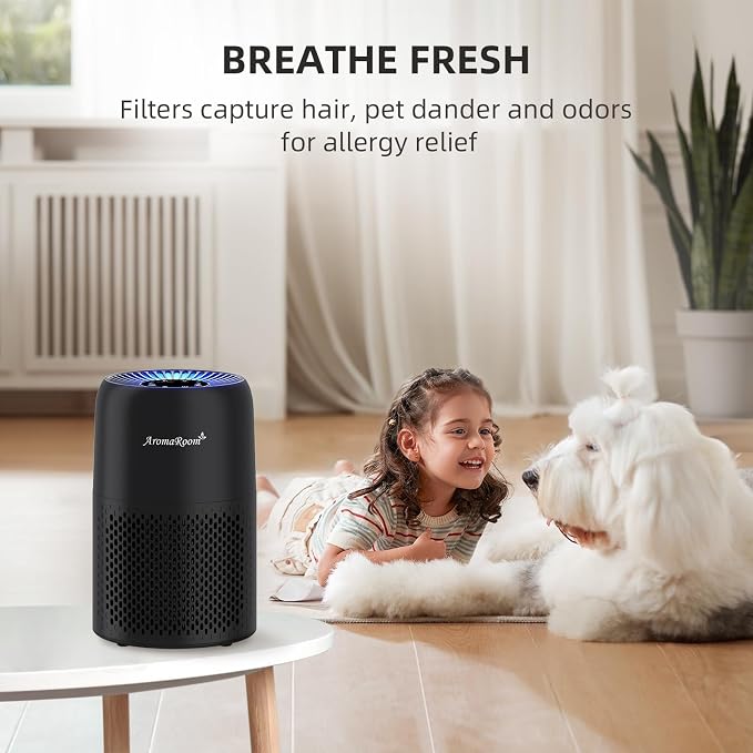 Air Purifiers for Home Bedroom, AromaRoom H13 HEPA Air Purifier Filter for - Image 9