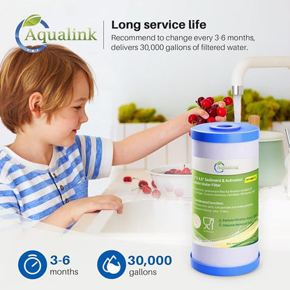 AQUALINK PP10BB-CC 5 Micron 10" x 4.5" Whole House Sediment Activated Carbon - Image 6