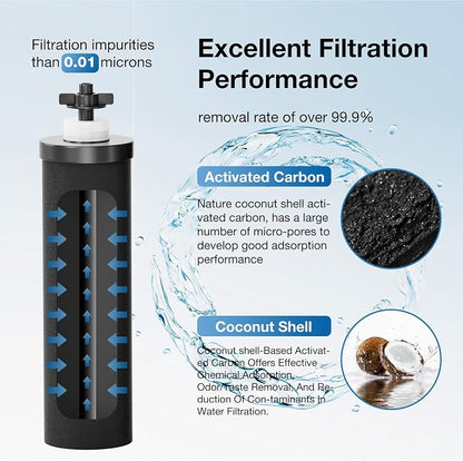 Black Purification Elements, Replacement Filters - Image 3
