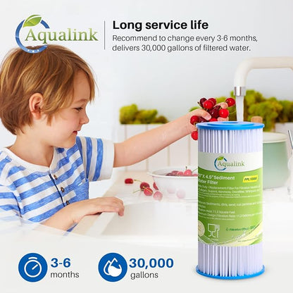 AQUALINK PPL10BB 10" x 4.5" Whole House Pleated Sediment Filter - Image 6