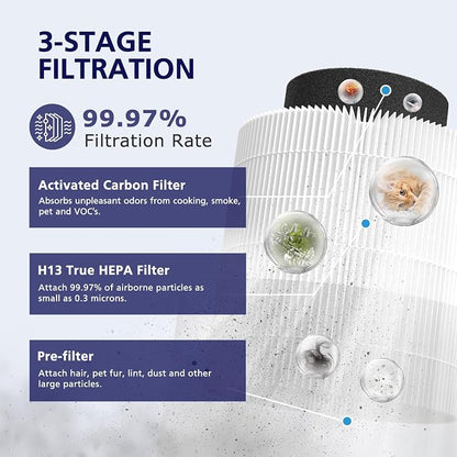B-D02L/M05/B-D02U H13 Filter Compatible - Image 2