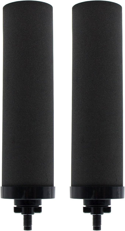 Water Filter Replacement for BB9-2® Black Activated Carbon Filters, Compatible by Renami