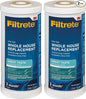 Filtrete Large Capacity Granulated Activated Carbon Whole House Water Filter by Filtrete