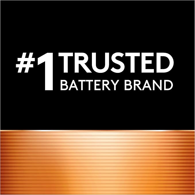 Duracell Ion Speed 1000 Battery Charger for AA and AAA Batteries, Includes 4 Pre-Charged AA Rechargeable Batteries, for Household and Business Devices (Pack of 2)